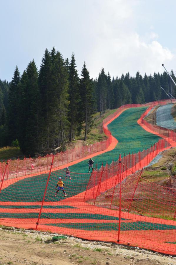 Milmari Resort - Apartman L43 Kopaonik Eksteriør billede
